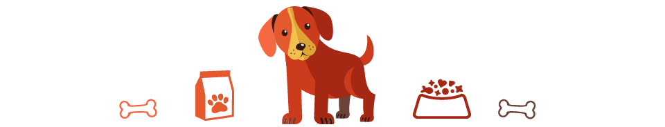 Paws pet services Dog walking